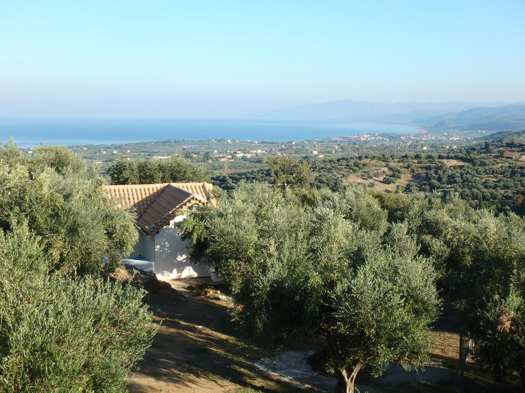 Ferienhaus Olive Garden Кипарисия Экстерьер фото