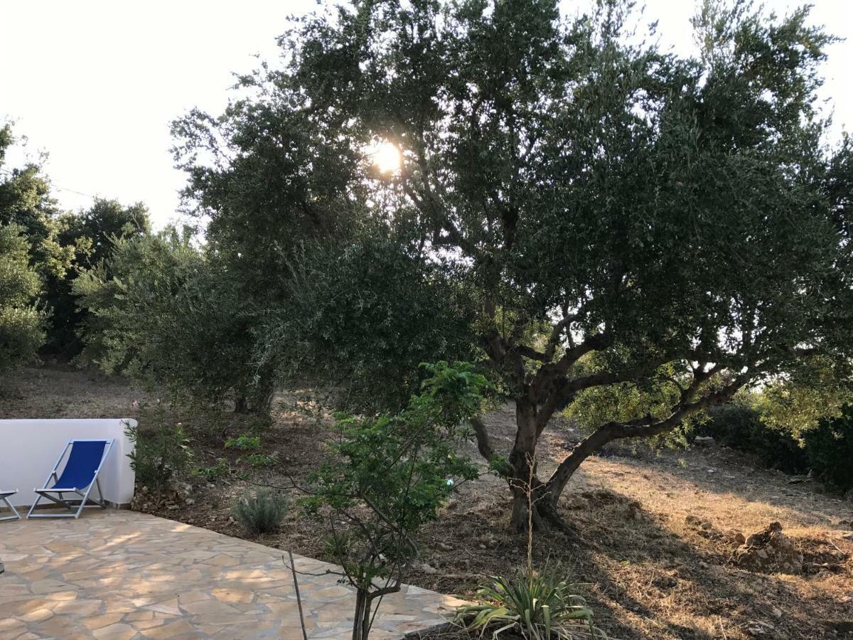 Ferienhaus Olive Garden Кипарисия Экстерьер фото